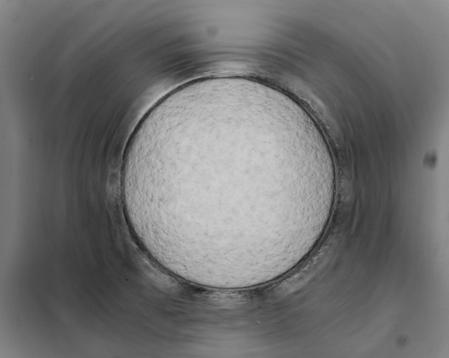X0000101221473200807251100