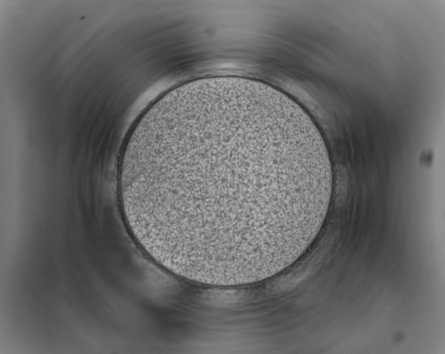 X0000101221474200807251100