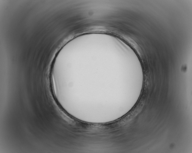 X0000101221475200807251100