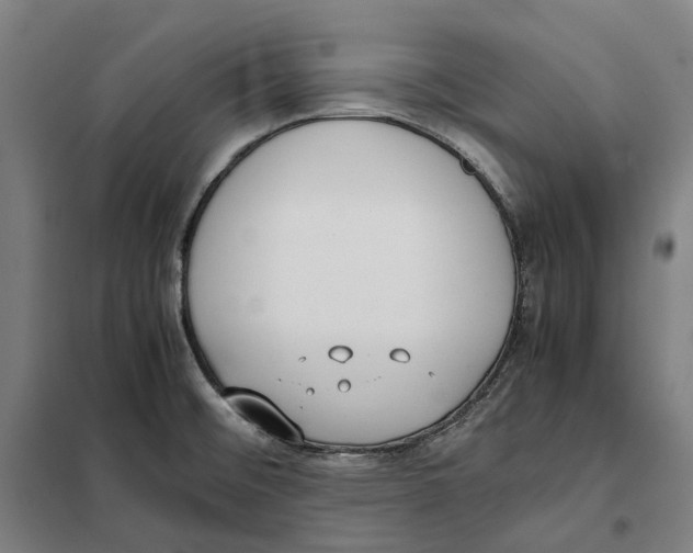 X0000101221476200807251100