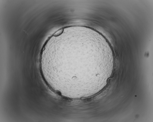 X0000101221477200807251100