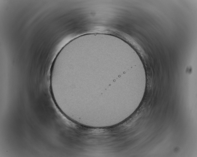 X0000101221479200807251100