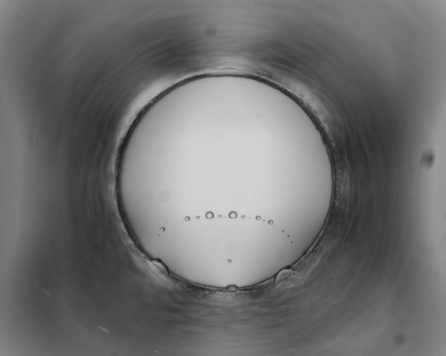 X0000101221480200807251100