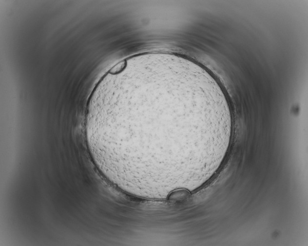 X0000101221481200807251100