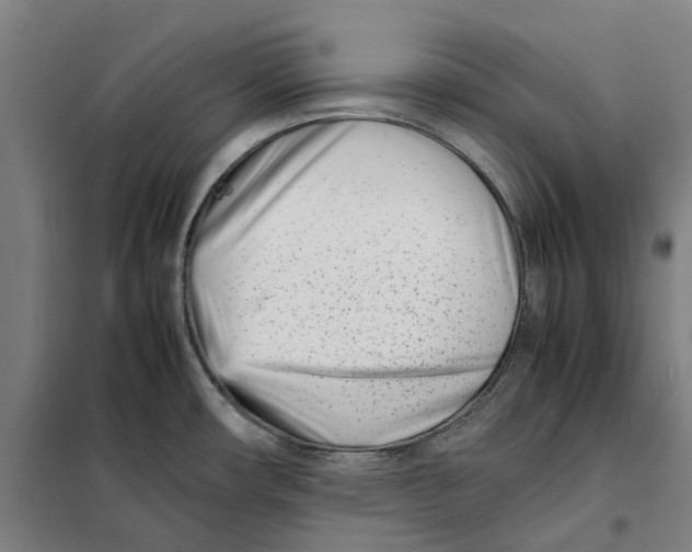 X0000101221482200807251100