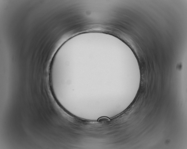 X0000101221483200807251100