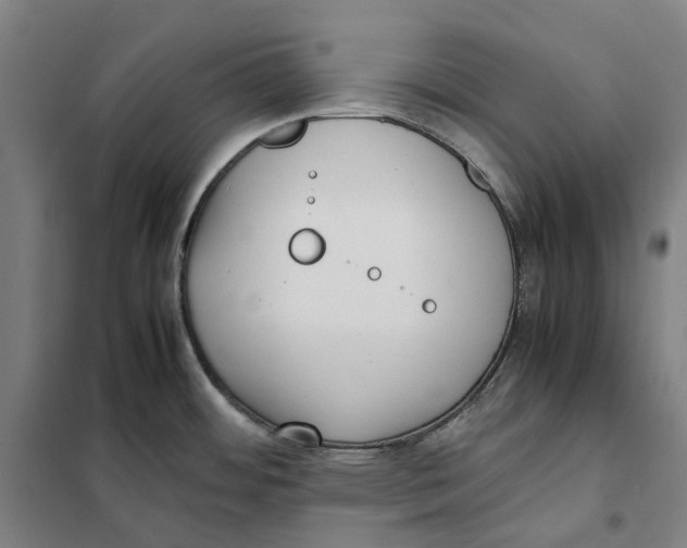X0000101221484200807251100
