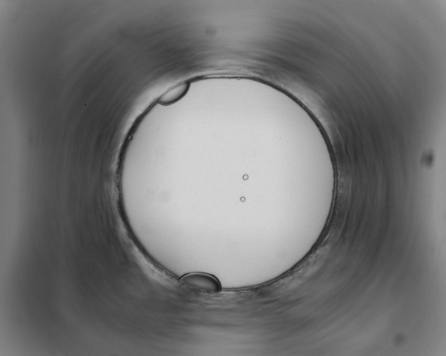 X0000101221485200807251100