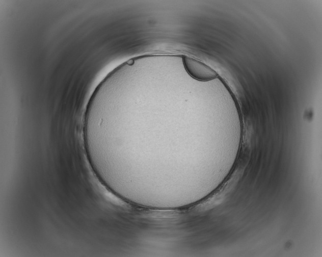 X0000101221486200807251100