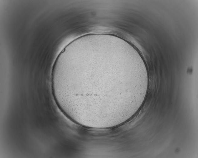 X0000101221487200807251100