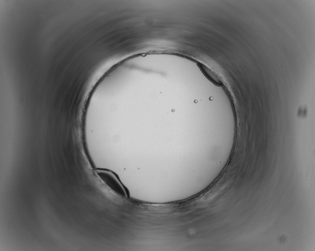 X0000101221488200807251100