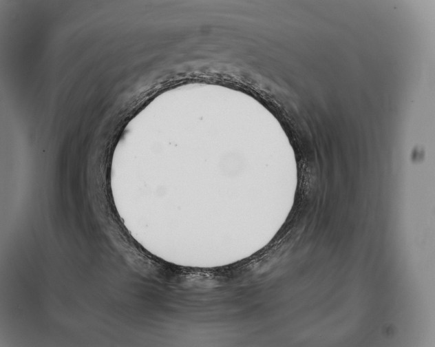 X0000101221489200807251059