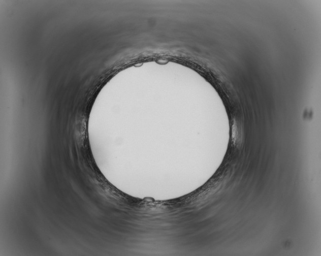 X0000101221492200807251059