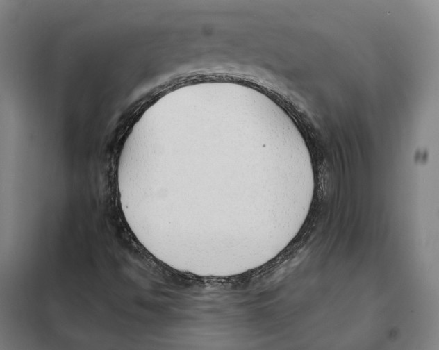 X0000101221494200807251059