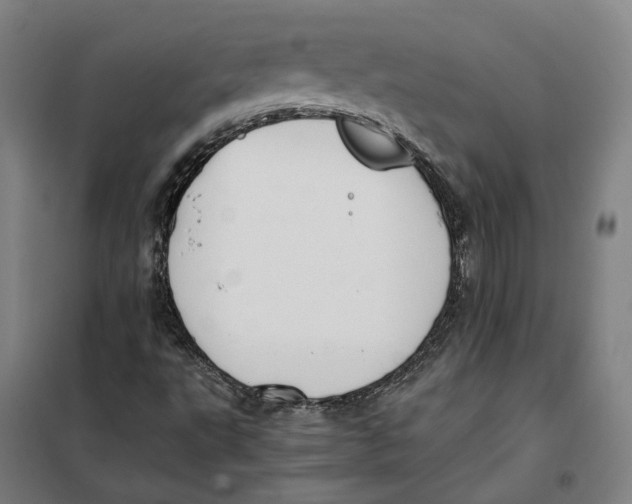 X0000101221495200807251059
