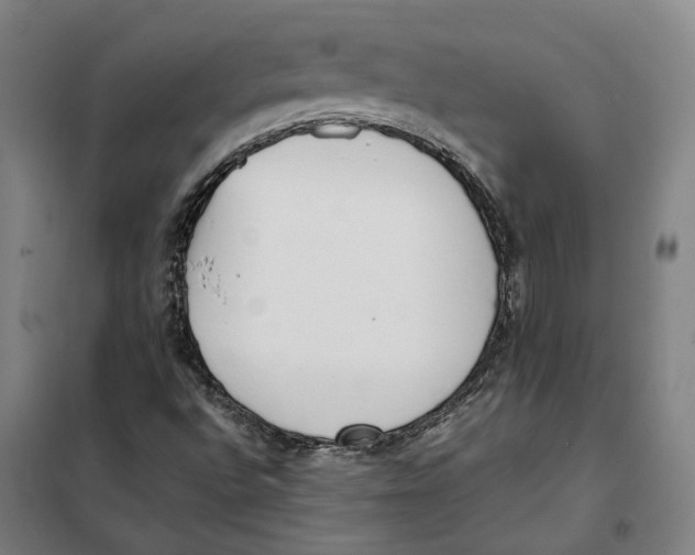 X0000101221496200807251059