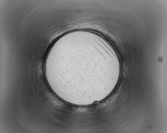 X0000101221497200807251059