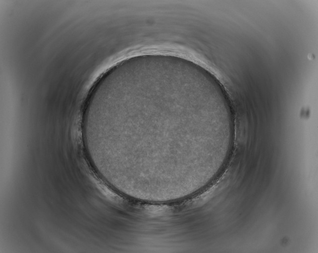 X0000101221498200807251100