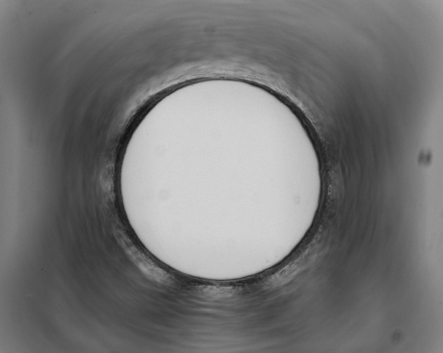 X0000101221499200807251100