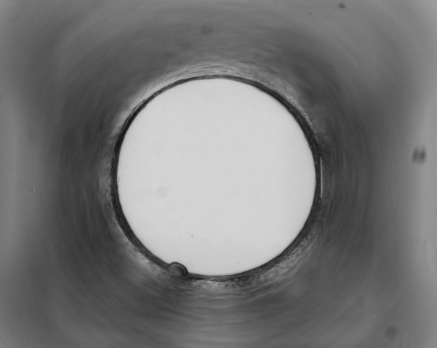 X0000101221500200807251100