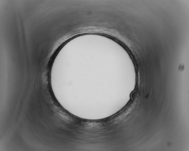 X0000101221501200807251100