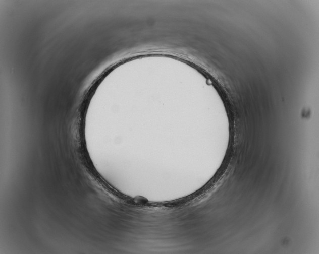 X0000101221502200807251100