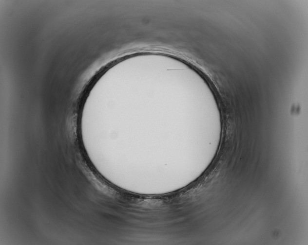 X0000101221503200807251100