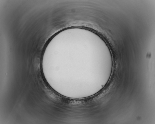 X0000101221505200807251100