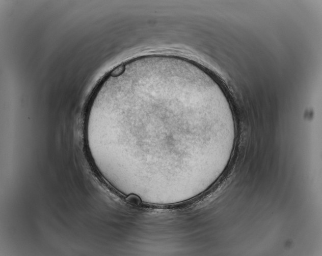 X0000101221506200807251100