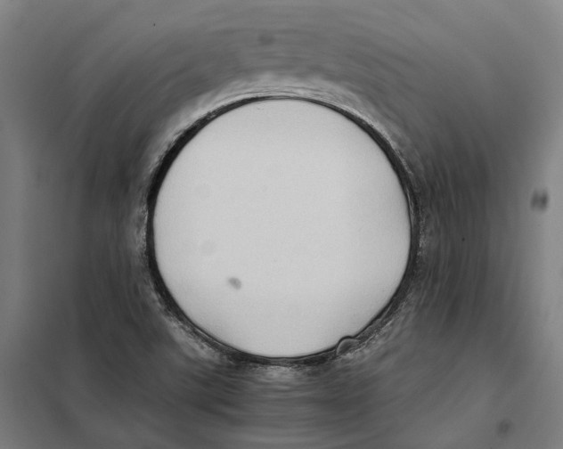 X0000101221507200807251100