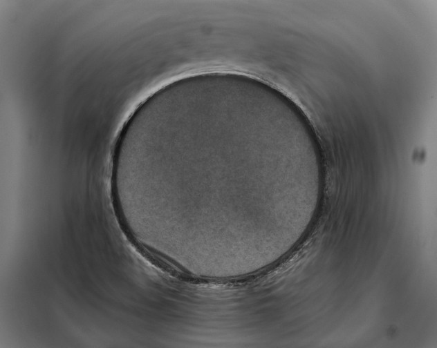X0000101221508200807251100