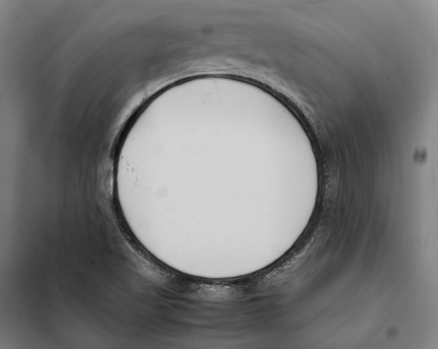 X0000101221509200807251100