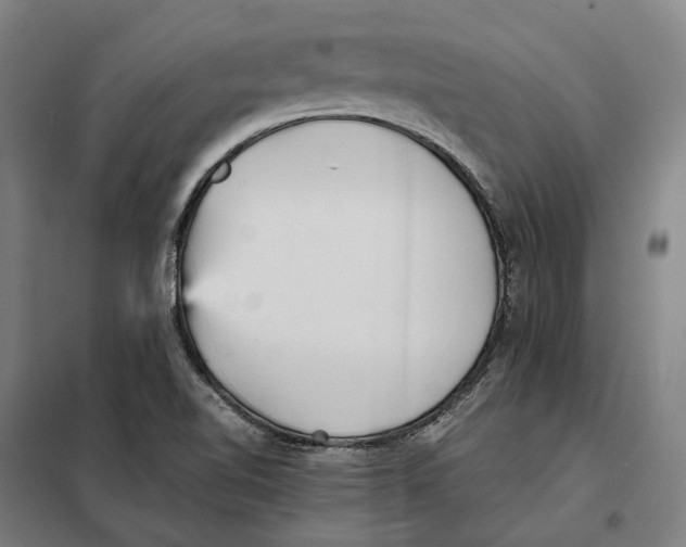 X0000101221510200807251100