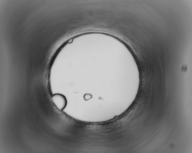 X0000101221511200807251100
