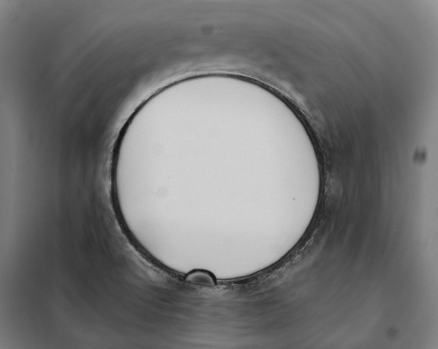 X0000101221512200807251100