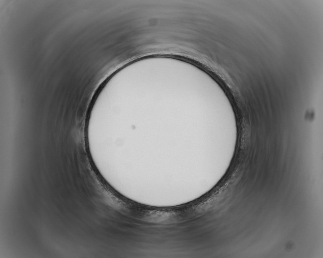 X0000101221513200807251100