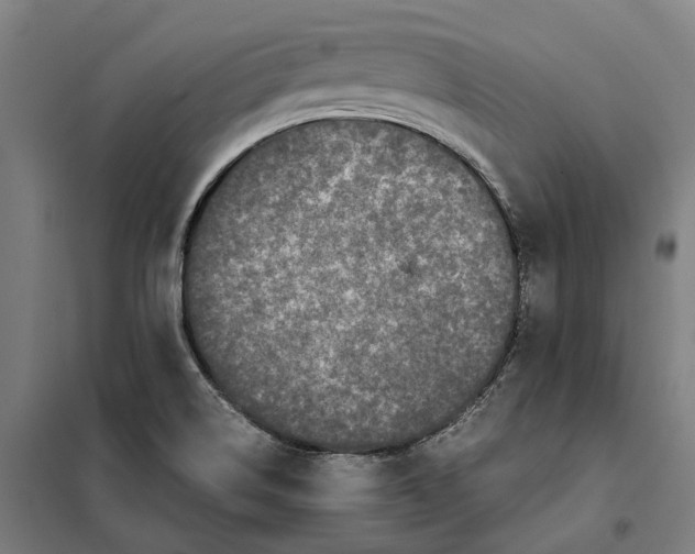 X0000101221514200807251100