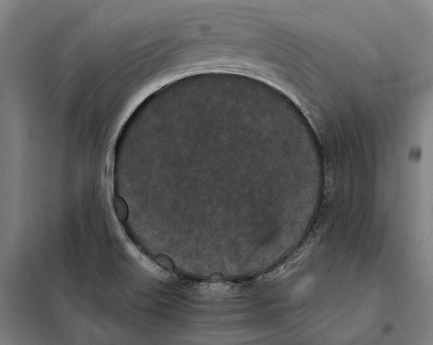 X0000101221515200807251100