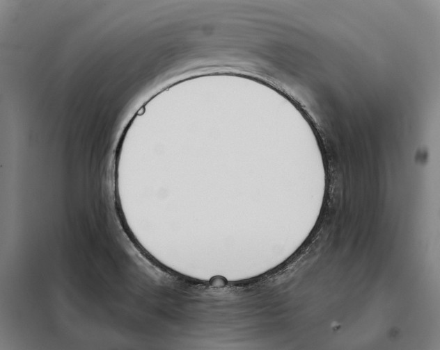 X0000101221516200807251100