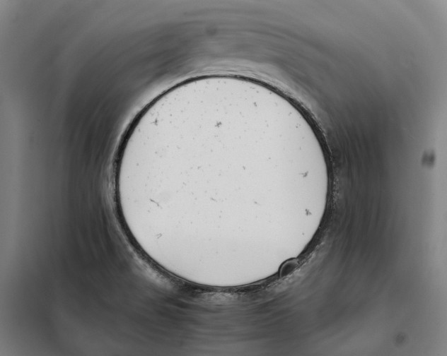 X0000101221517200807251100