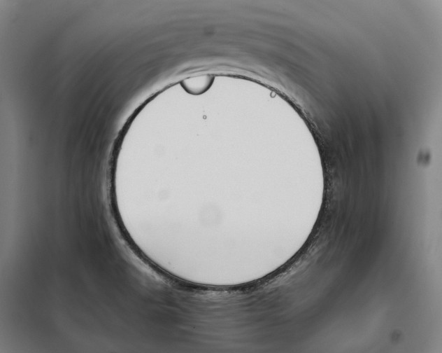 X0000101221518200807251100