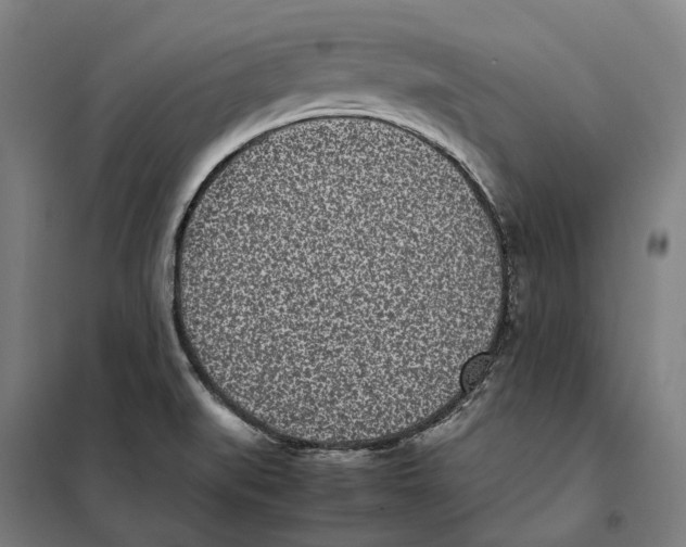 X0000101221519200807251100