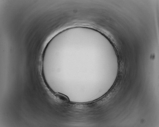X0000101221520200807251100