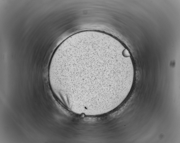 X0000101221521200807251100