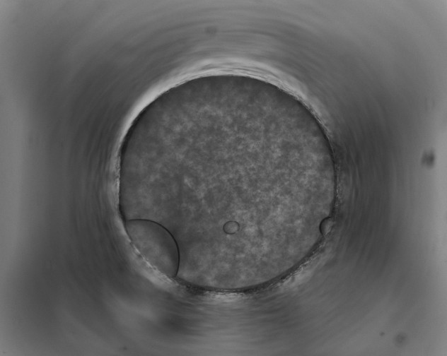 X0000101221522200807251100