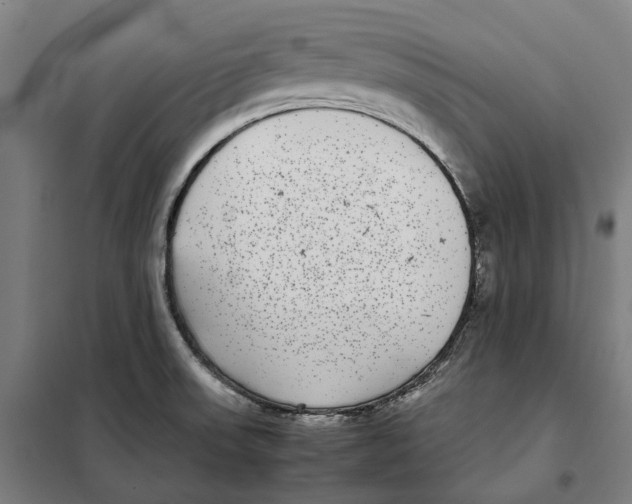 X0000101221523200807251100
