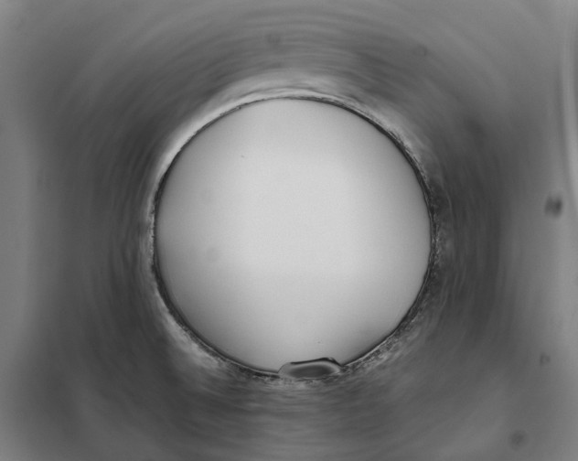 X0000101221524200807251100