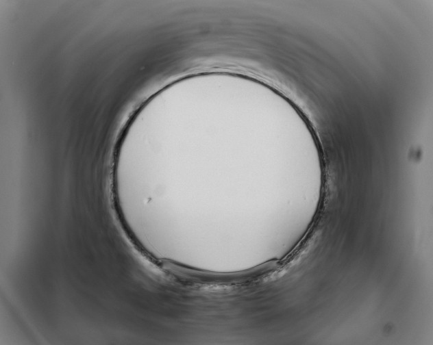 X0000101221525200807251100