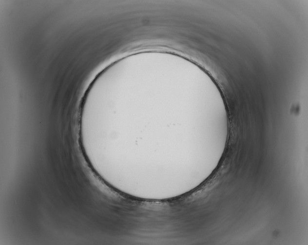 X0000101221526200807251100