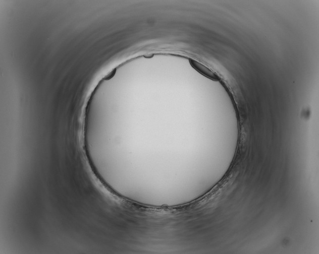 X0000101221528200807251100